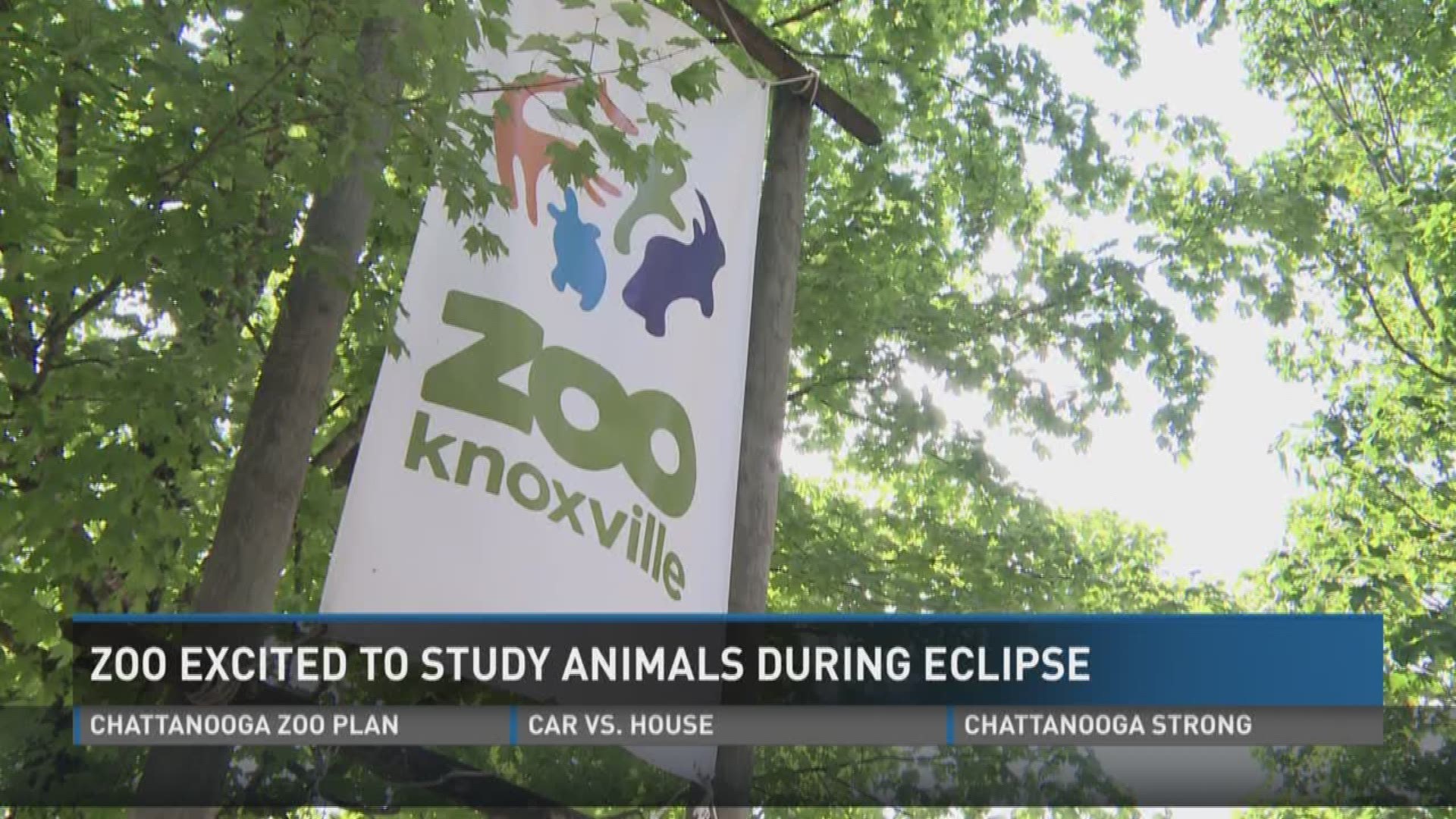 Knoxville Zoo prepares for solar eclipse and to study animals.