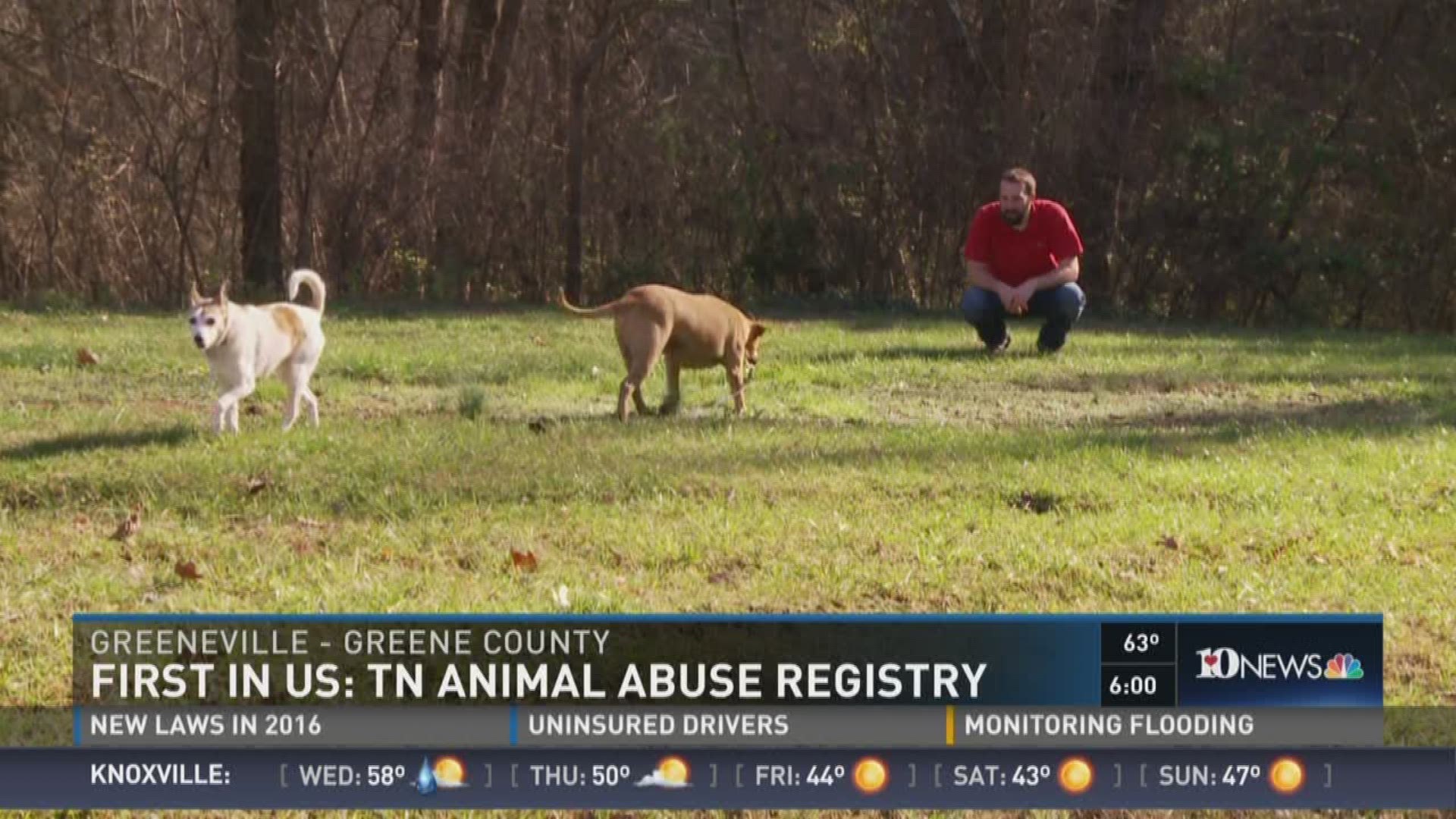 First in US Tennessee Animal Abuse Registry begins Jan. 1