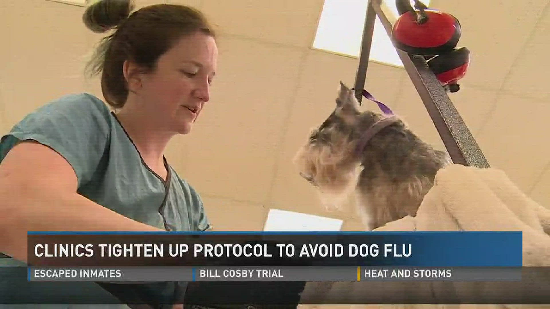 Area pet hospitals have administered dozens of vaccines since last week.