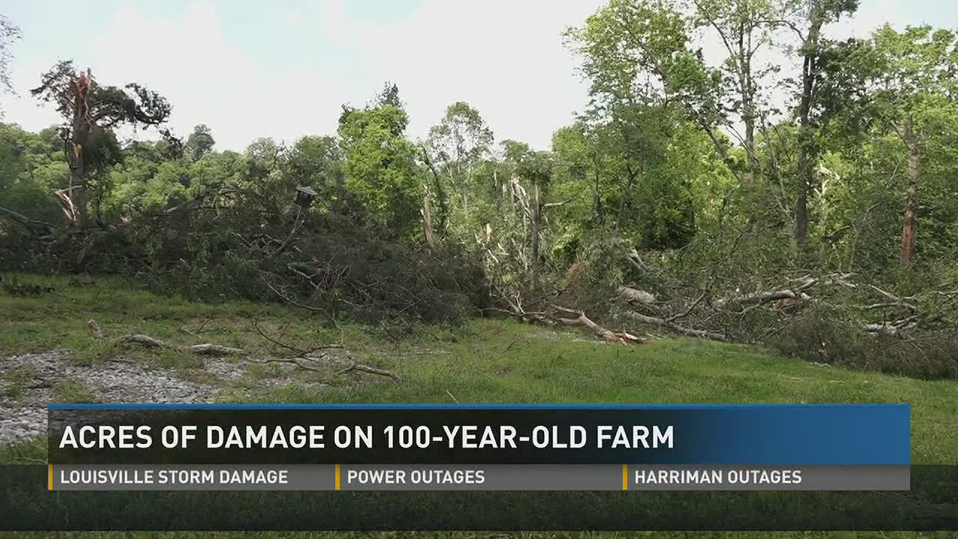 The Ballenger family of New Market is dealing with a huge mess on their 300 acre farm after Saturday's storm.