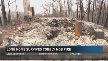 Cobbly Nob Home Miraculously Untouched By Wildfire Destruction