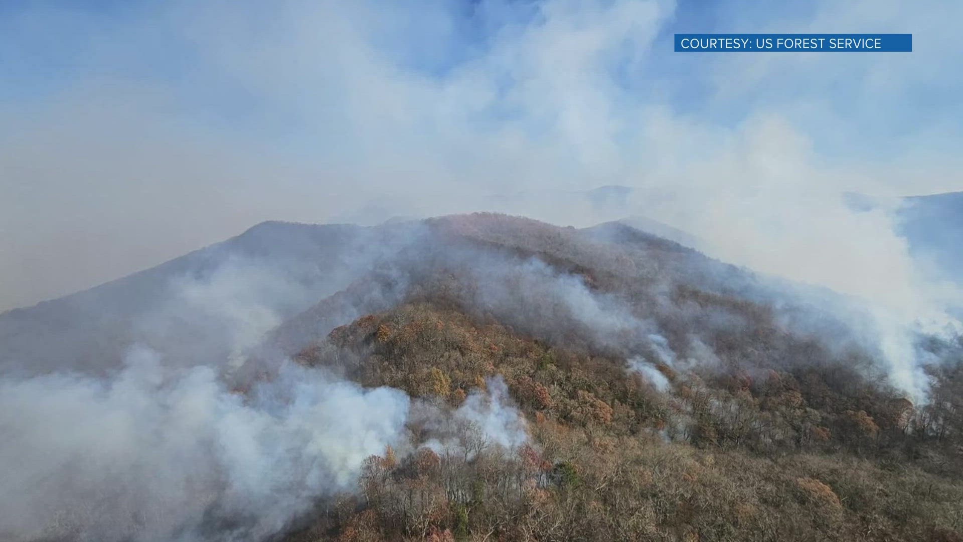 The Cherokee National Forest said a cluster of fires near Famer, being managed as the Buck Bald Fire, is being investigated as arson.