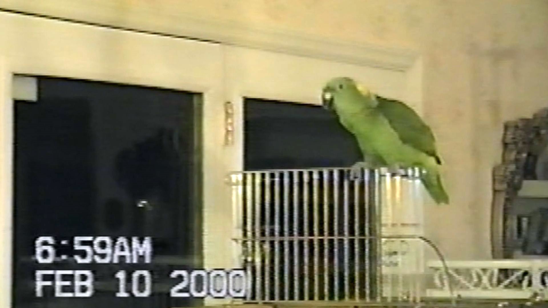 The Tennessee Archive of Moving Image and Sound found an abandoned unlabeled tape of a parrot singing the famous Tennessee tune.