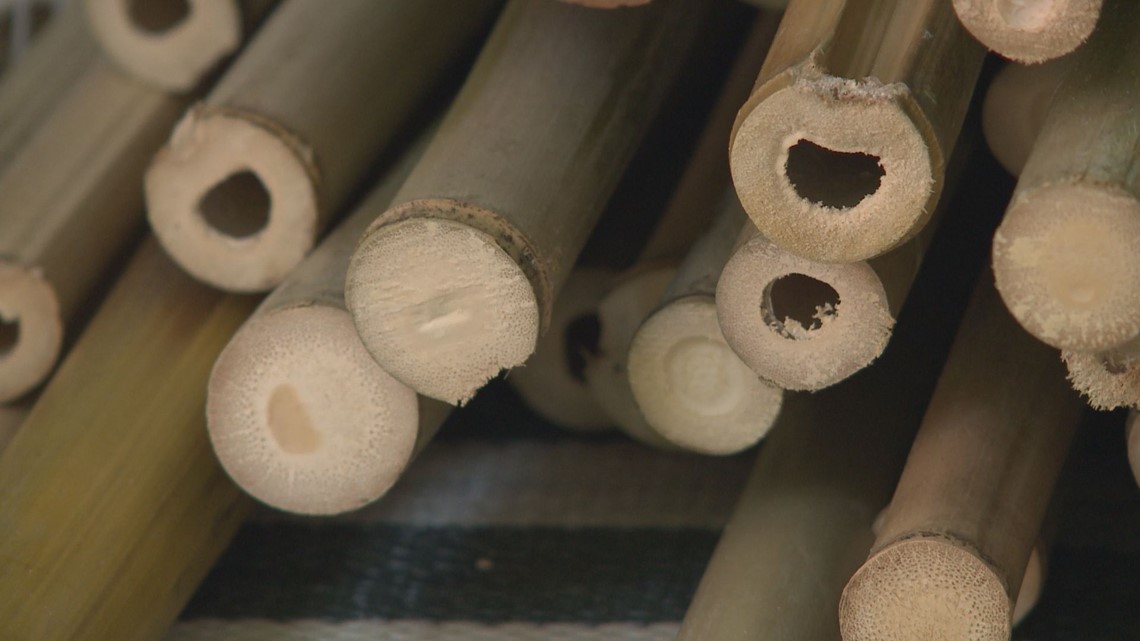 Pay it Forward Knoxville man uses walking sticks to brighten a