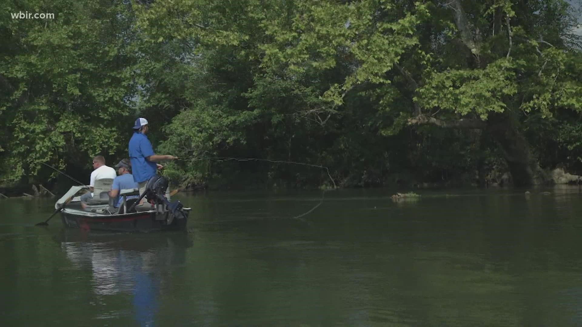 A fundraiser for cystic fibrosis research brought anglers to the Clinch River on Saturday.
