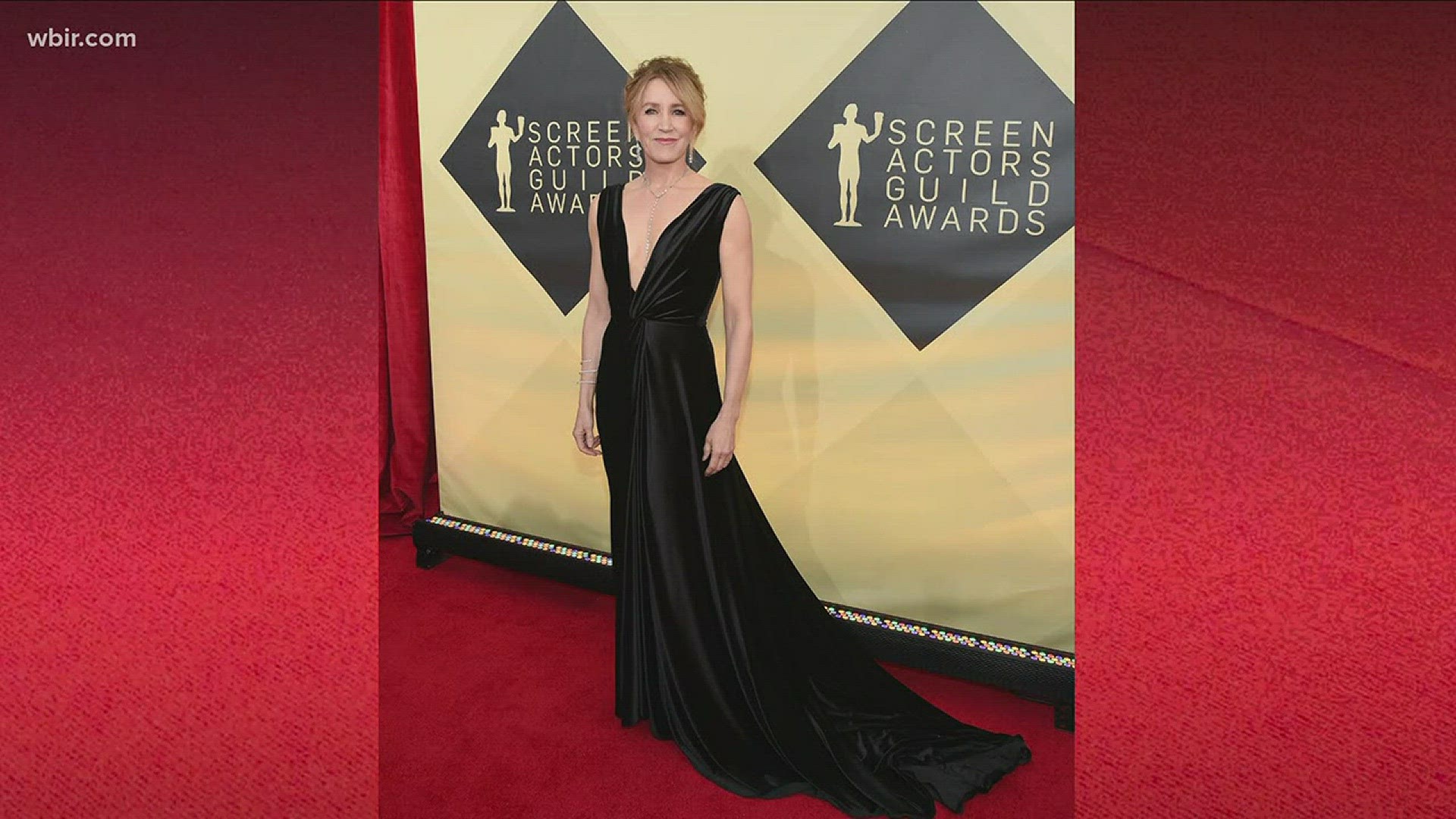 Abby Ham and Rebecca Franklin review the best dressed from the SAG Awards Red Carpet