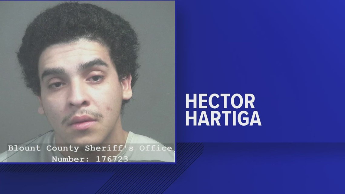 Alcoa police arrest man accused of shooting gun around park - Vimarsana News