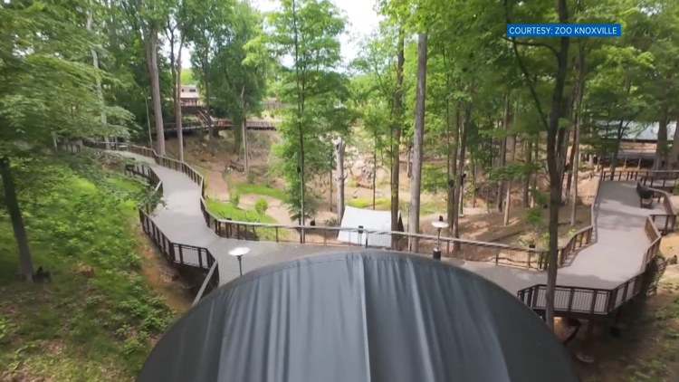 Read Zoo Knoxville announces new summer concert series