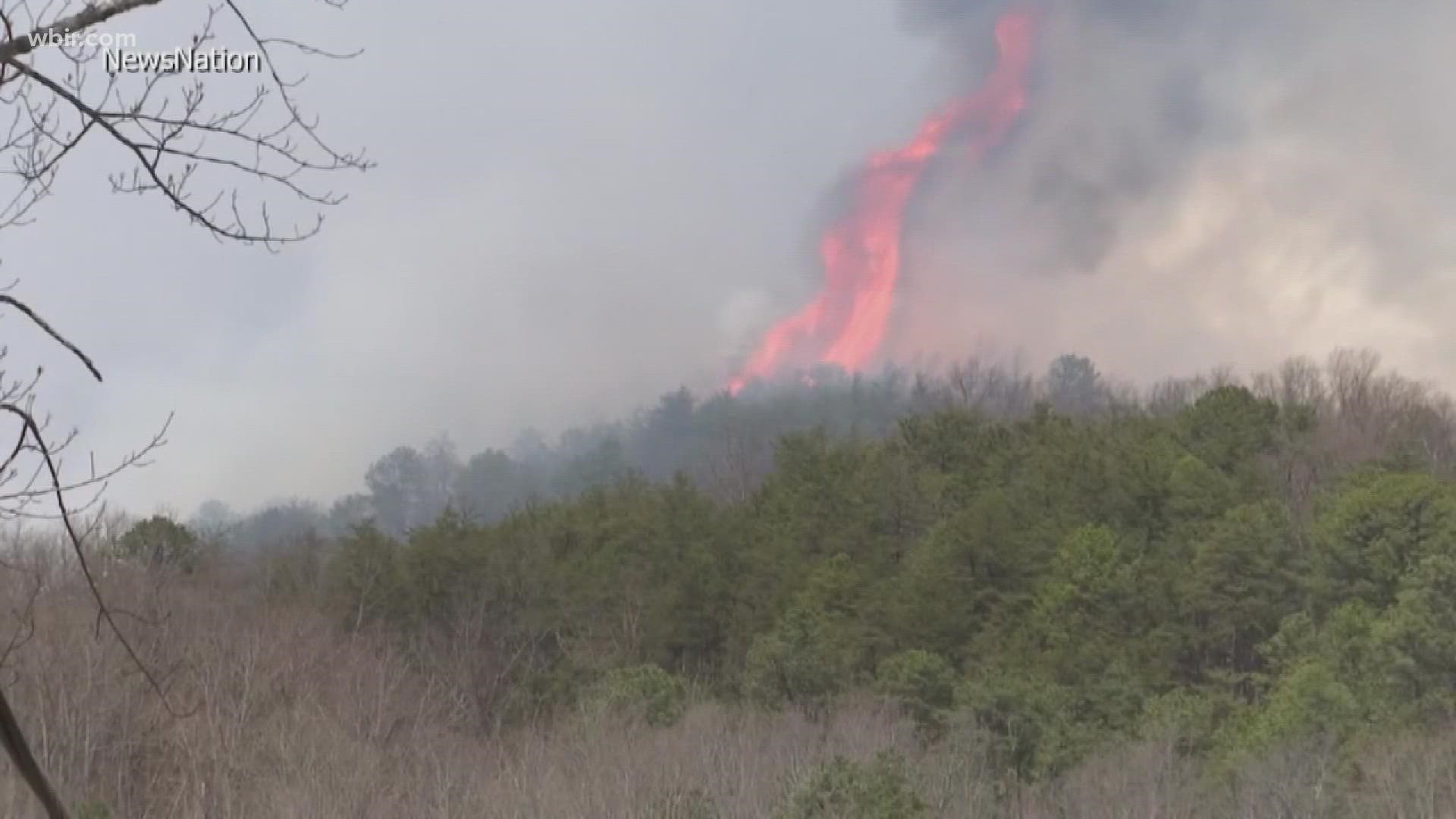 More than 2,500 acres burned in that fire. Some 11,000 homes were evacuated when the fire began earlier this week.