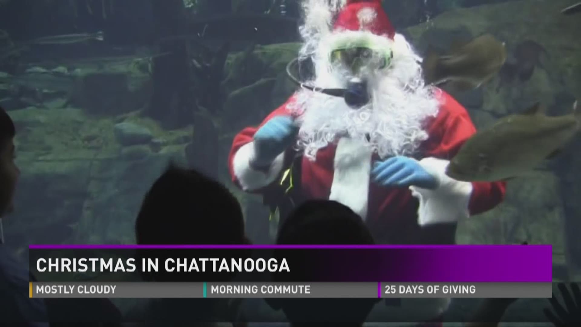 The Tennessee Aquarium is just one of many Chattanooga attractions with special  holiday events planned this year. (12/18/15 6AM)
