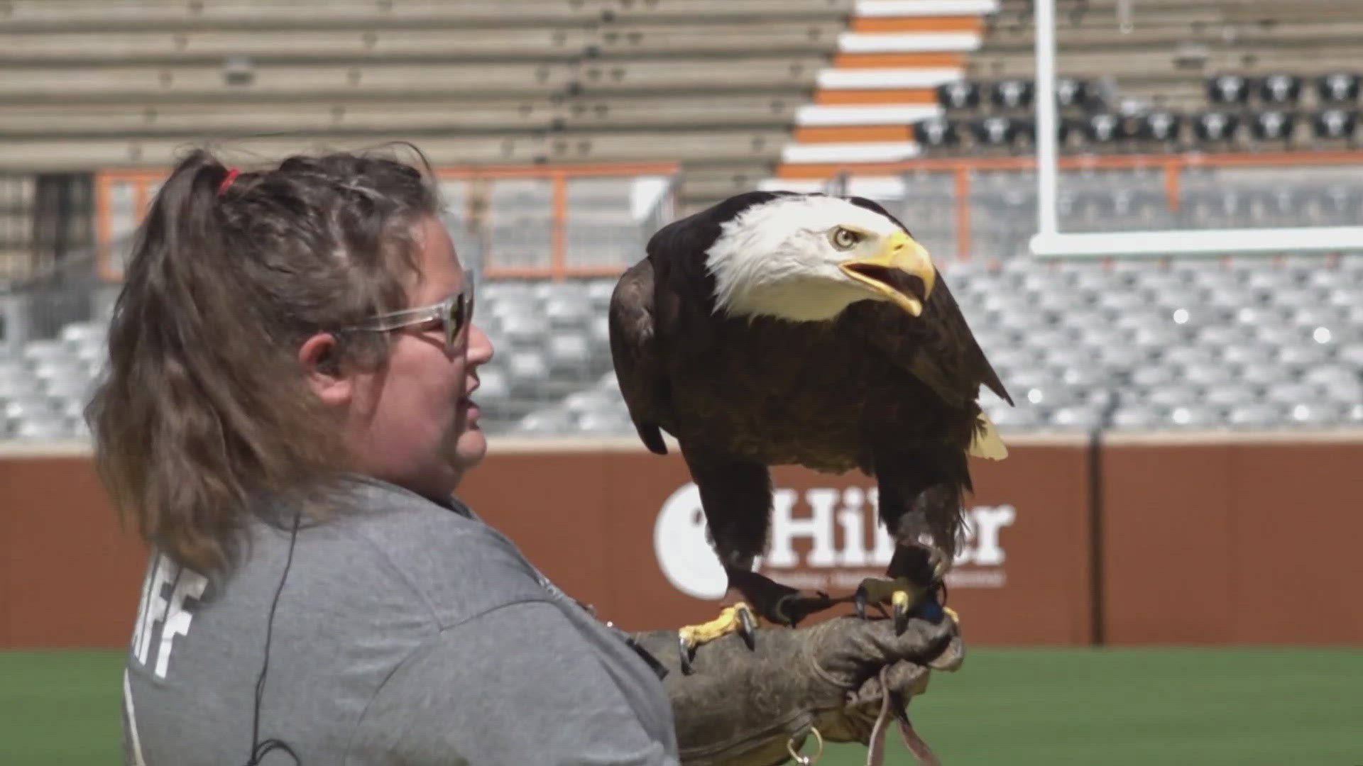 Bald Eagle From American Eagle Foundation In Sevier County To Appear In Bald Eagle From American Eagle Foundation In Sevier County To Appear In