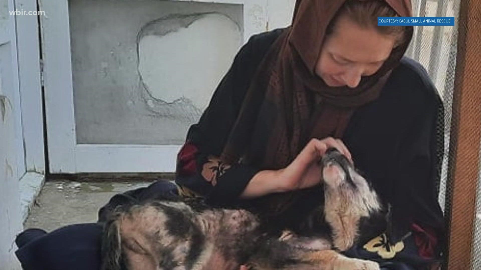 An East Tennessee woman stayed in Afghanistan to care for animals 