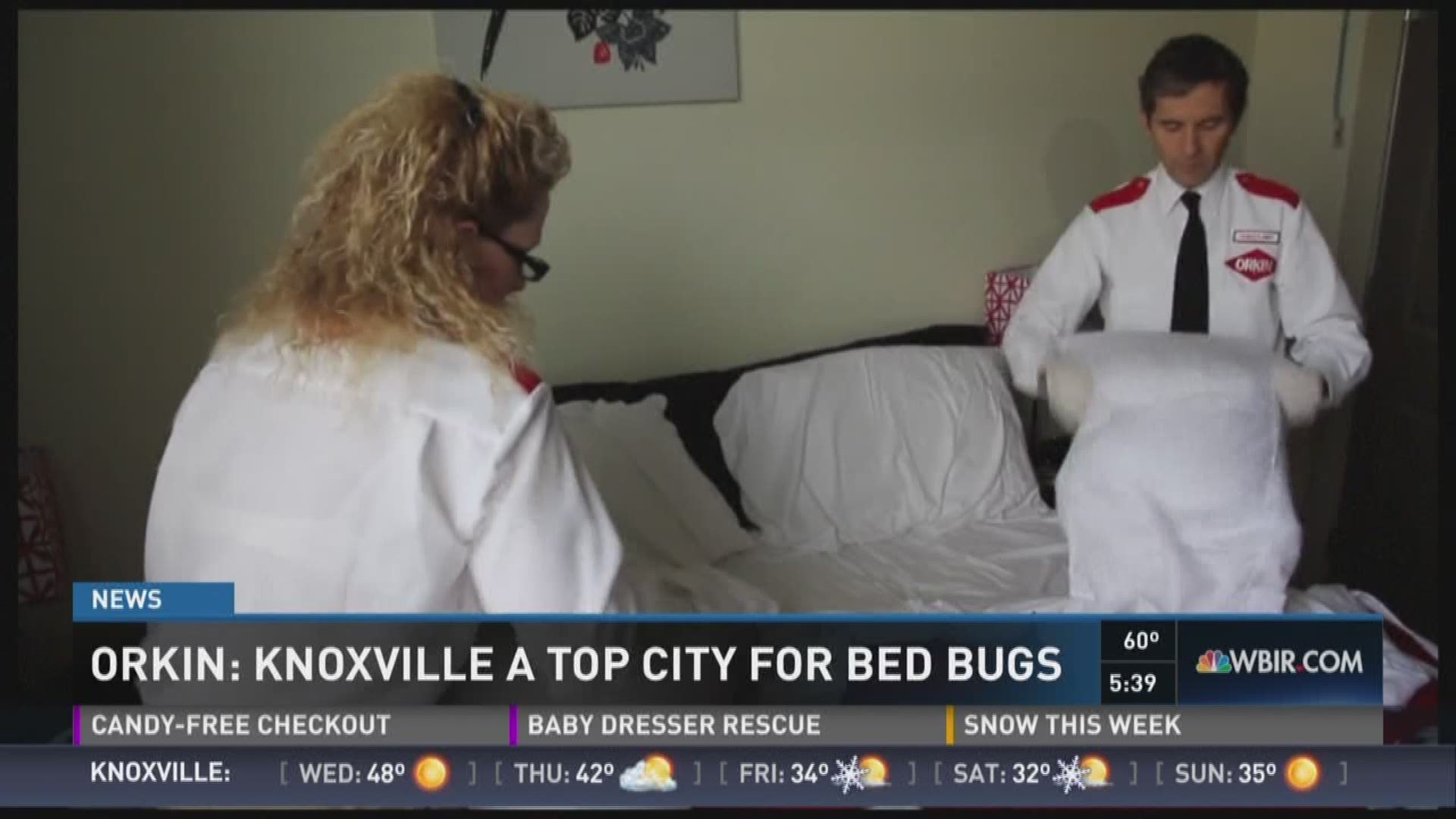 Jan. 3, 2017: Pest control company Orkin says Knoxville is once again a top city for bedbugs.