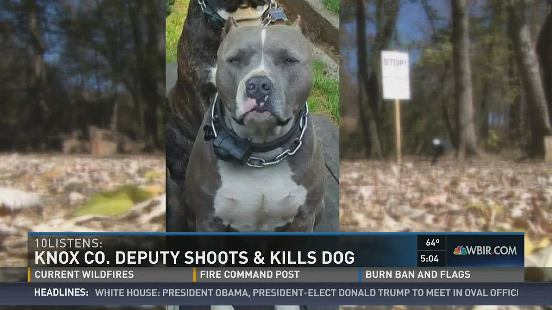The Knox Co. sheriff says that the dog was being aggressive and the deputy shot the dog in self defense. The dog's owner believed they overreacted.