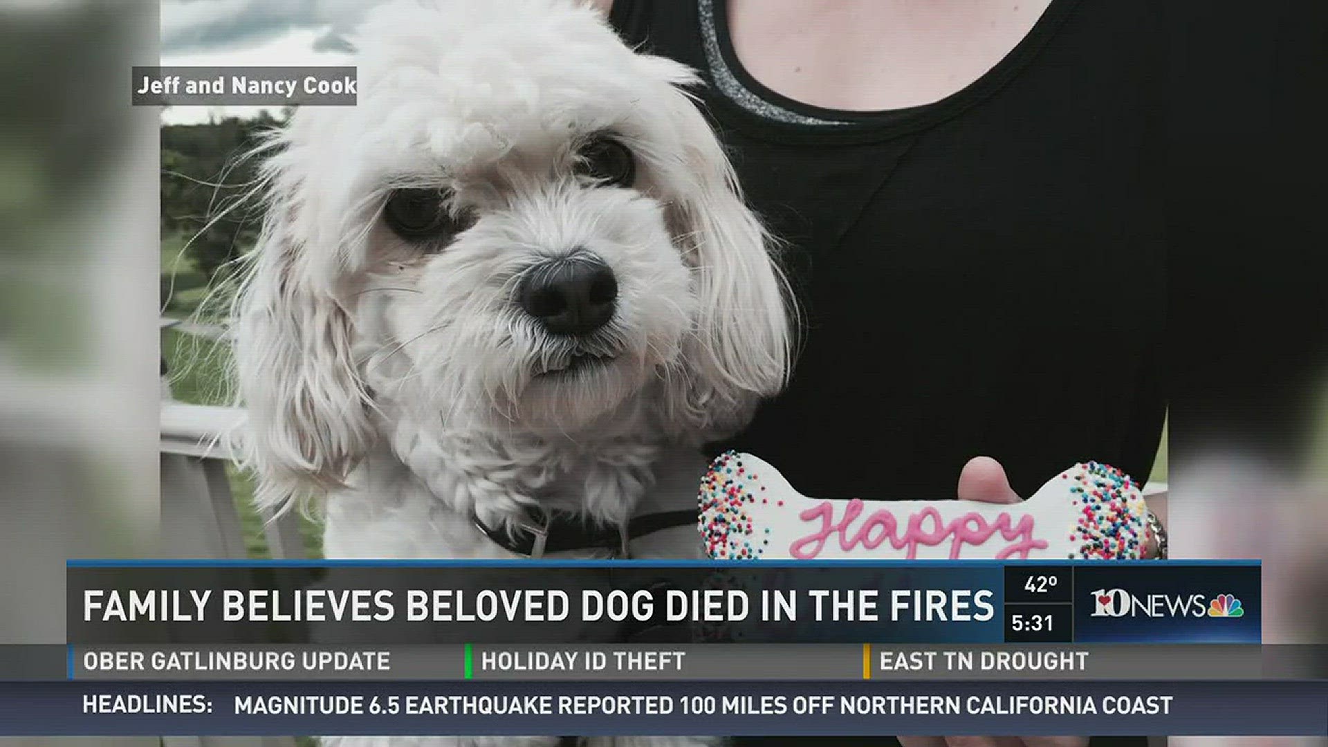 Dec. 8, 2016: A family visiting Sevier county from Ohio says they fear their beloved dog Chloe died in the fires.