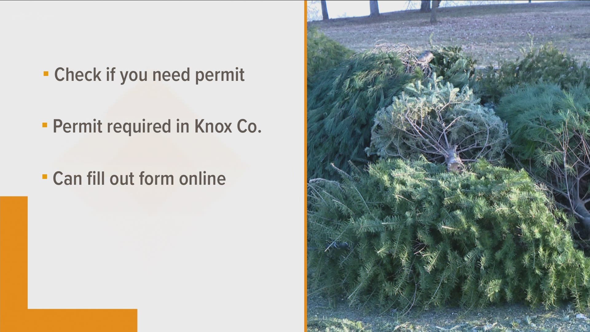 Rural Metro Fire says you can burn your tree, but you need to check your local ordinances to see if you need a permit.