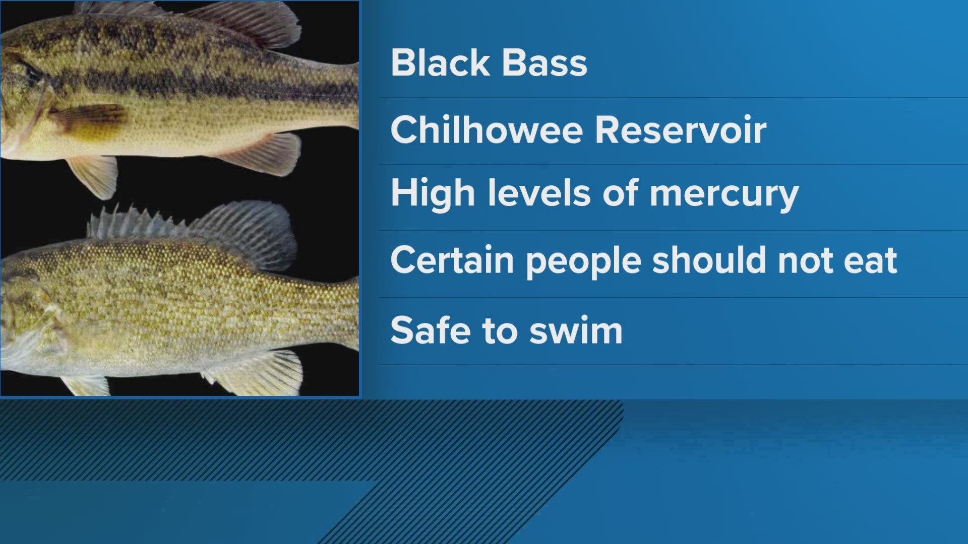 The advisory warns that pregnant women, nursing mothers and children should not eat black bass from the reservoir due to high levels of mercury.