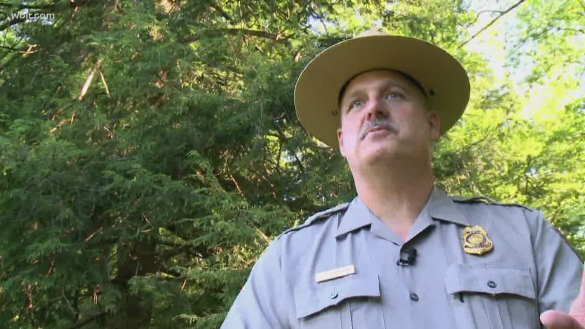 After 35 years with the National Park Service, the Chief Ranger of the Great Smoky Mountains is retiring. Steve Kloster was involved in hundreds of rescues and guided the park through the Blizzard of 93 and the Sevier County wildfires.