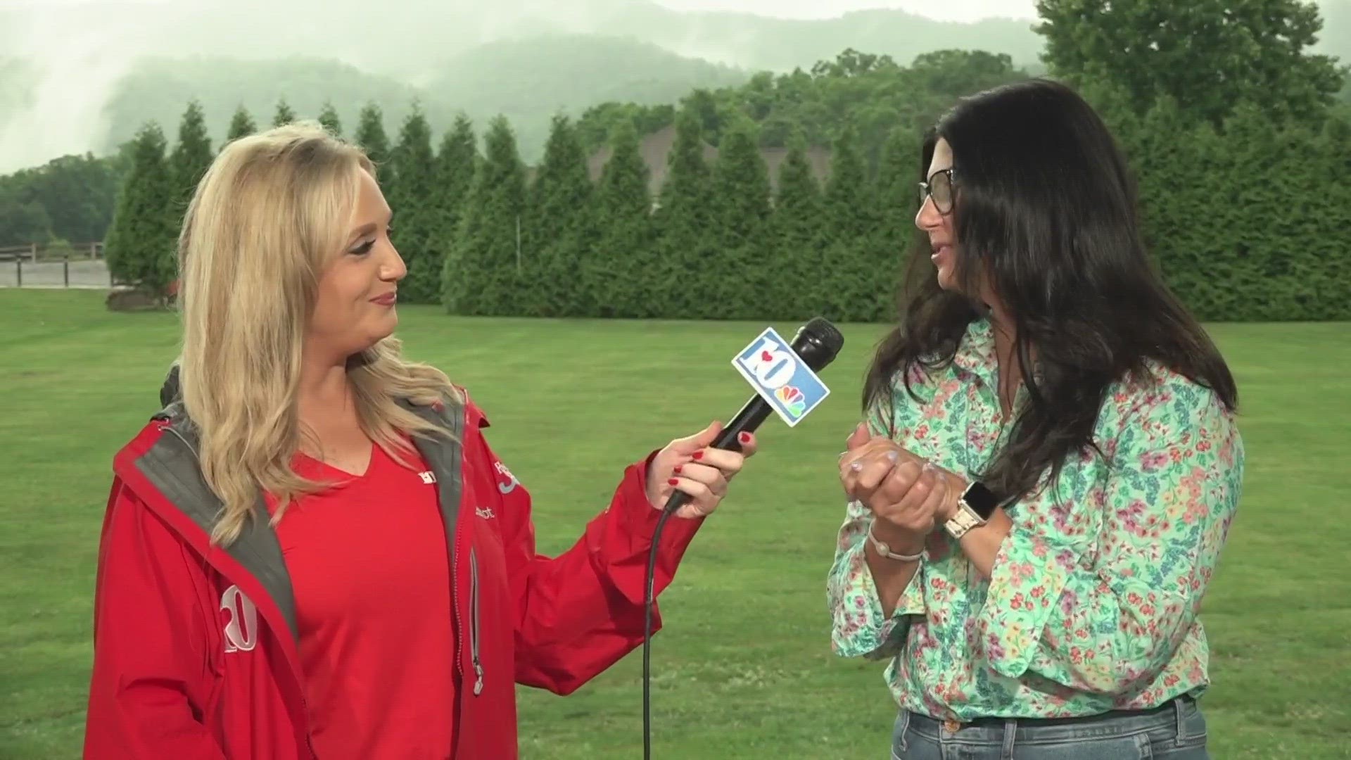Kim Mitchell, with the Blount County Partnership, shares some upcoming fun activities to do, like the Hot Air Balloon Festival and the Grains & Grits Festival.
