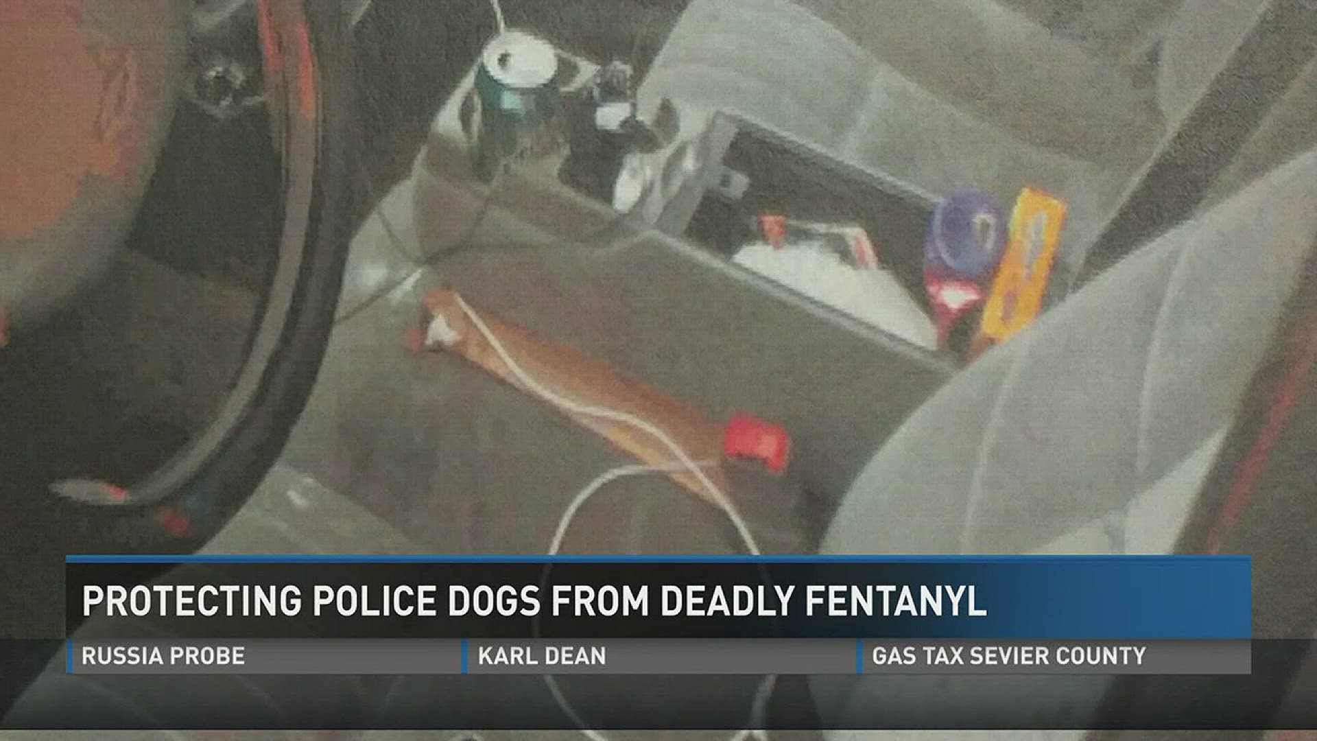Police K-9s have safety measures like naloxone in place in case they come in contact with the drug fentanyl .