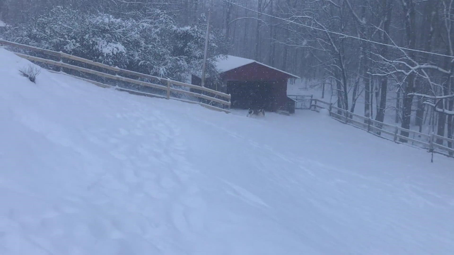 It’s still snowing in Whitley City
Credit: Becky Shepherd