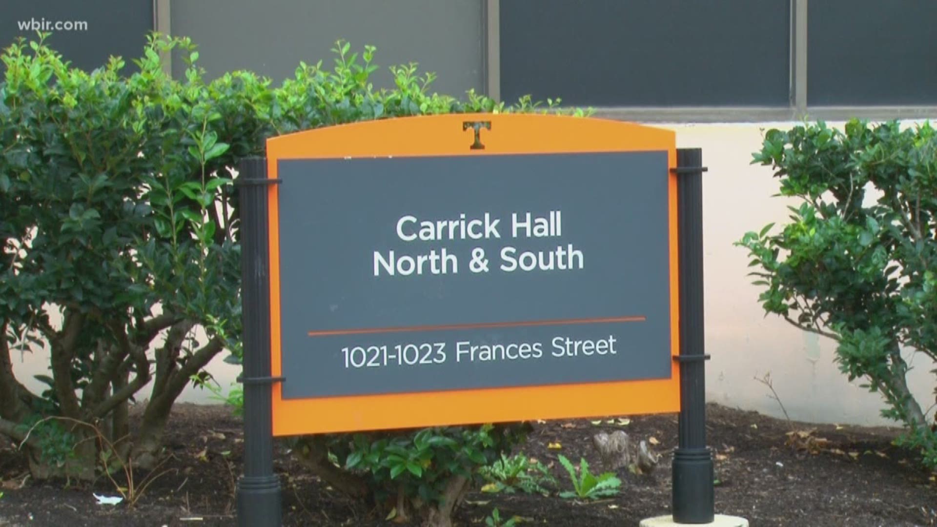 UT will be removing mold from rooms inside South Carrick Hall starting on Oct. 1.