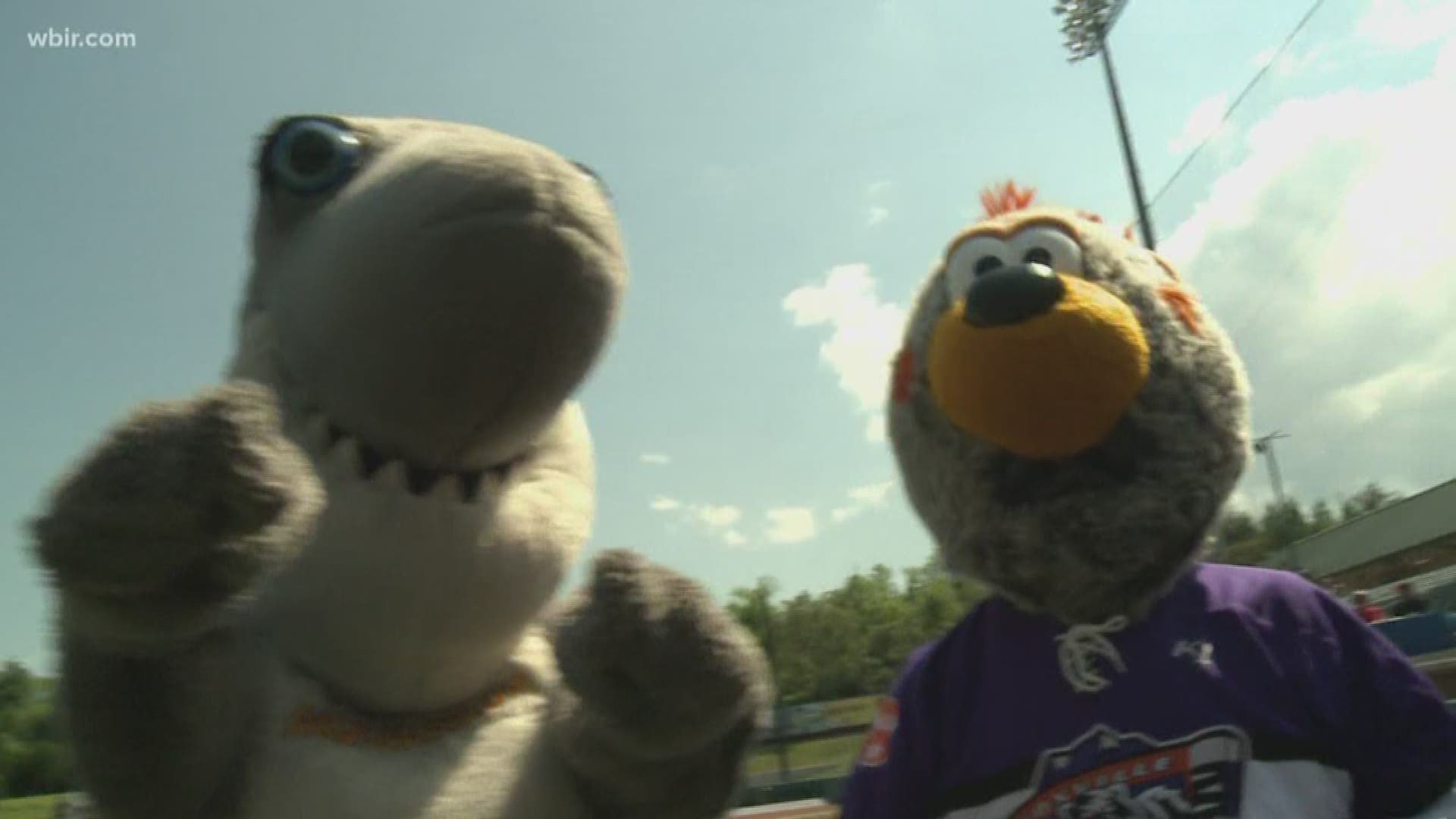 It's time for game one in our annual Mascot Baseball Game at Smokies Stadium in Kodak. We have new teams, new players but the same old fun.May 21, 2018-4pm