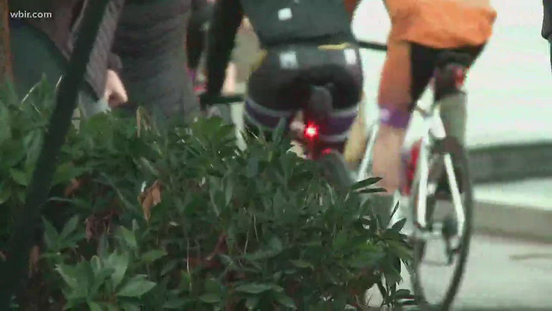 Eight bikers a riding from Knoxville to the Florida Keys in honor of Pat Summitt to raise money for Alzheimer's research.