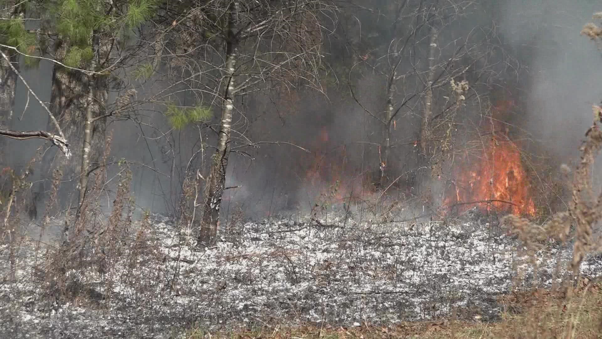 We can expect to see smoke and fire this month in Cades Cove. Rangers are setting those controlled fires in an effort to improve habitat and prevent wildfires.