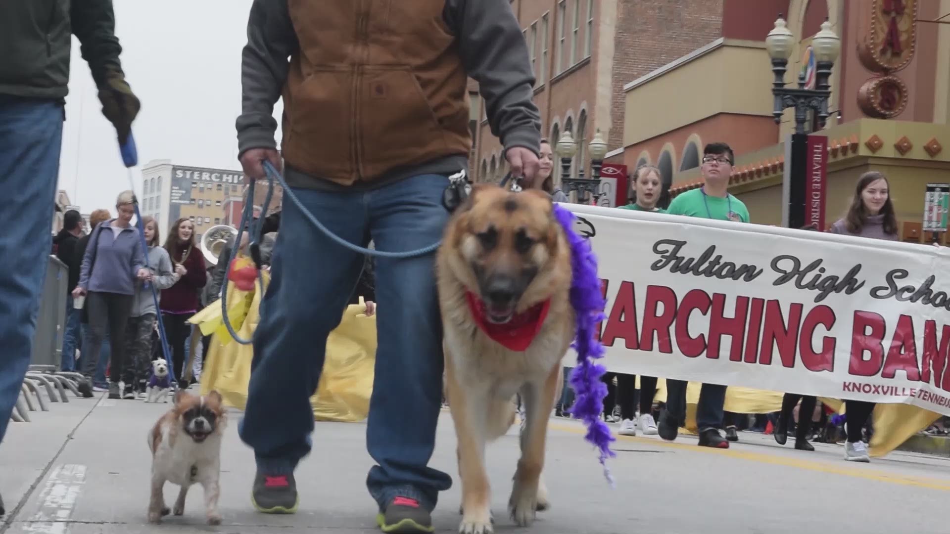 East Tennesseans and their four-legged friends paraded down Gay Street before heading over to Market Square for a party for the 12th annual Mardi Growl.