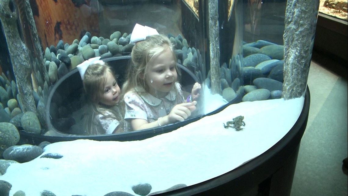 Zoo Knoxville's new ARC home to amphibians & reptiles, is now open