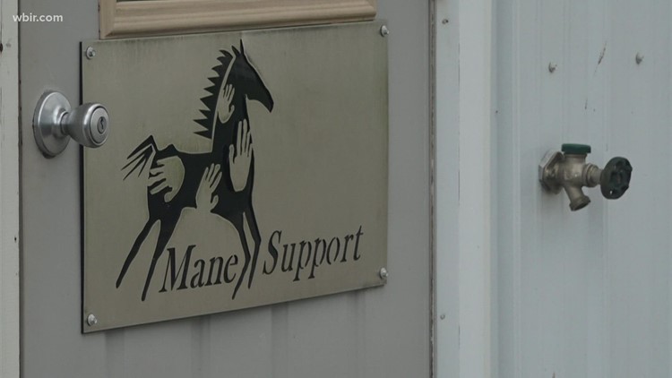 Nonprofit Mane Support uses horses for trauma therapy