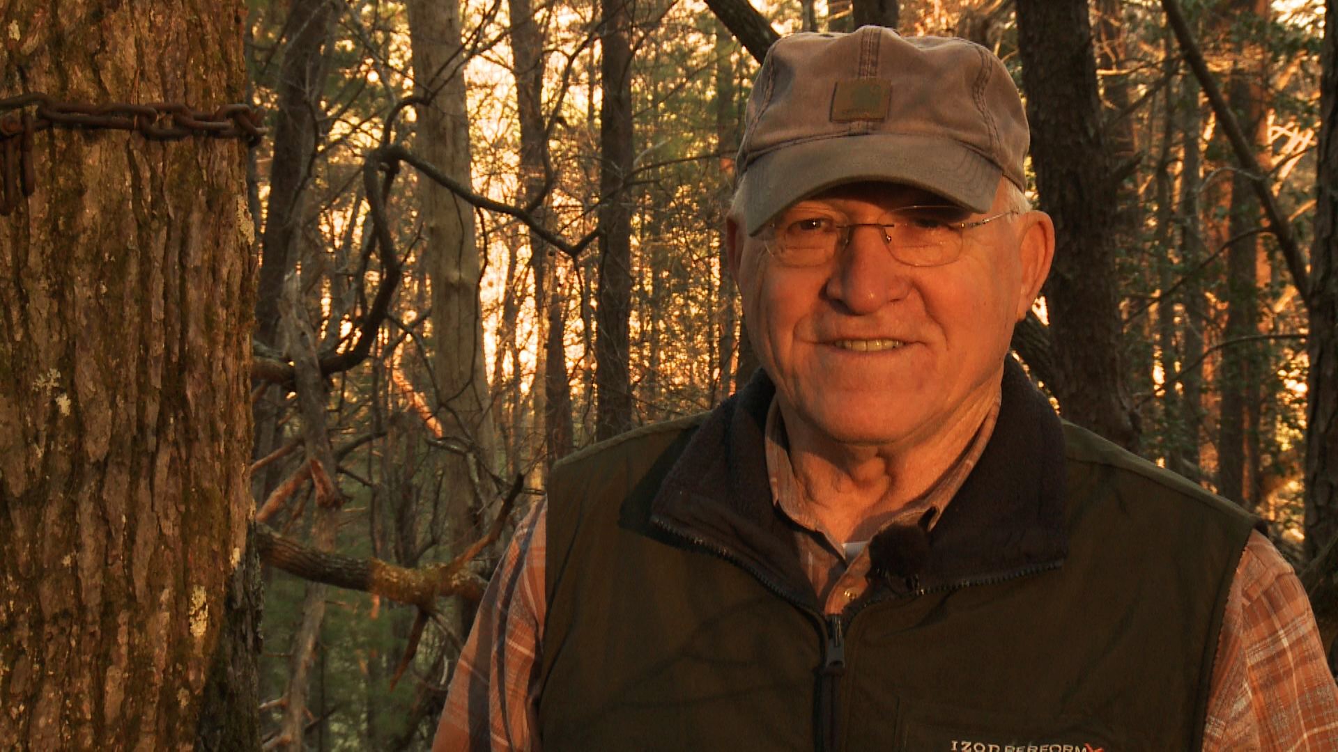 'Pearl Harbor tree' rooted in Cades Cove history