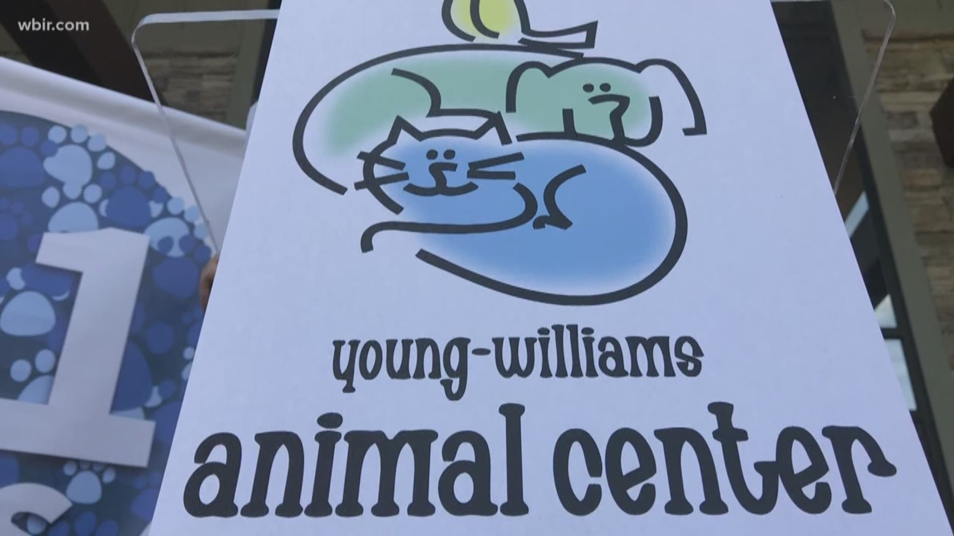 The "no-kill" status means that at least 90% of the animals they take in leave the shelter for new homes or rescue organizations. Its a huge milestone for a shelter, particularly because it's the official stray animal intake center for Knoxville and Knox County, and can't turn any of those animals away.