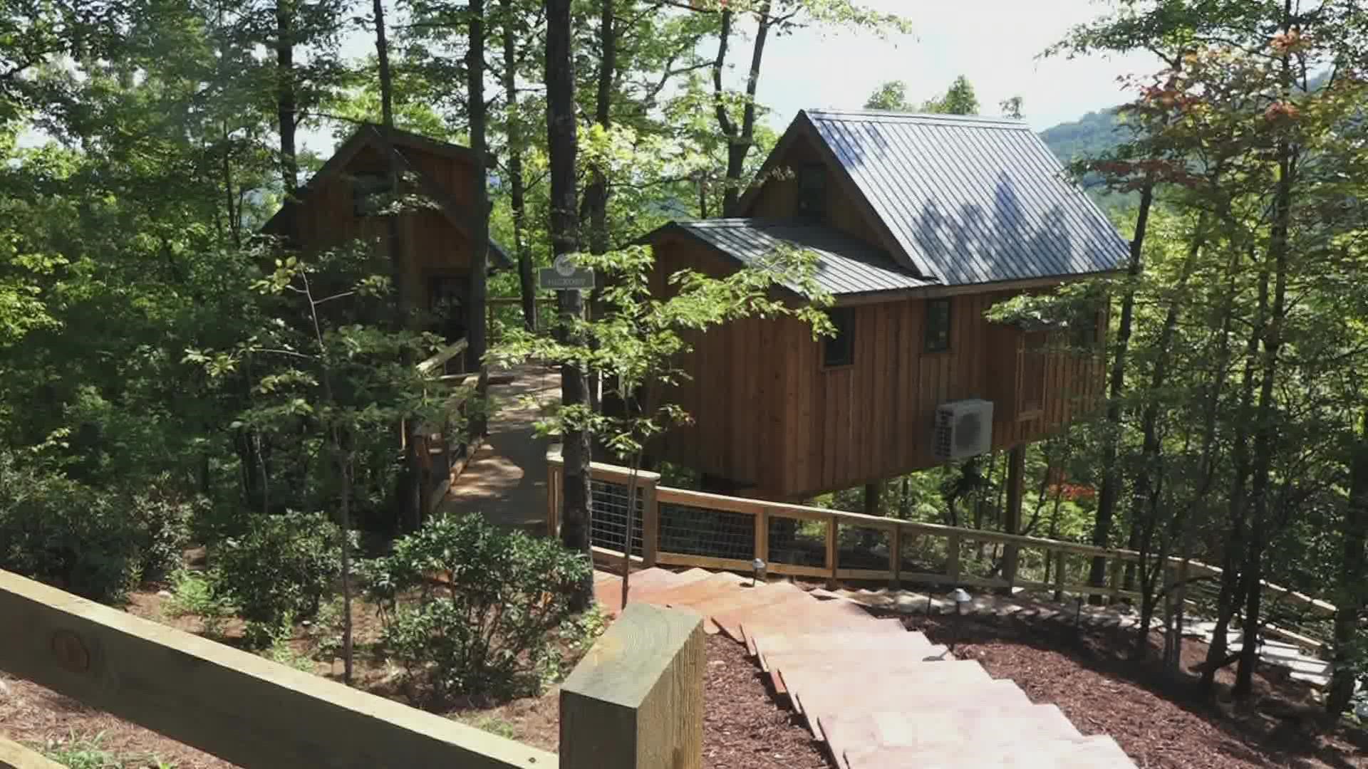 New luxury treehouses are taking the smokies by storm.