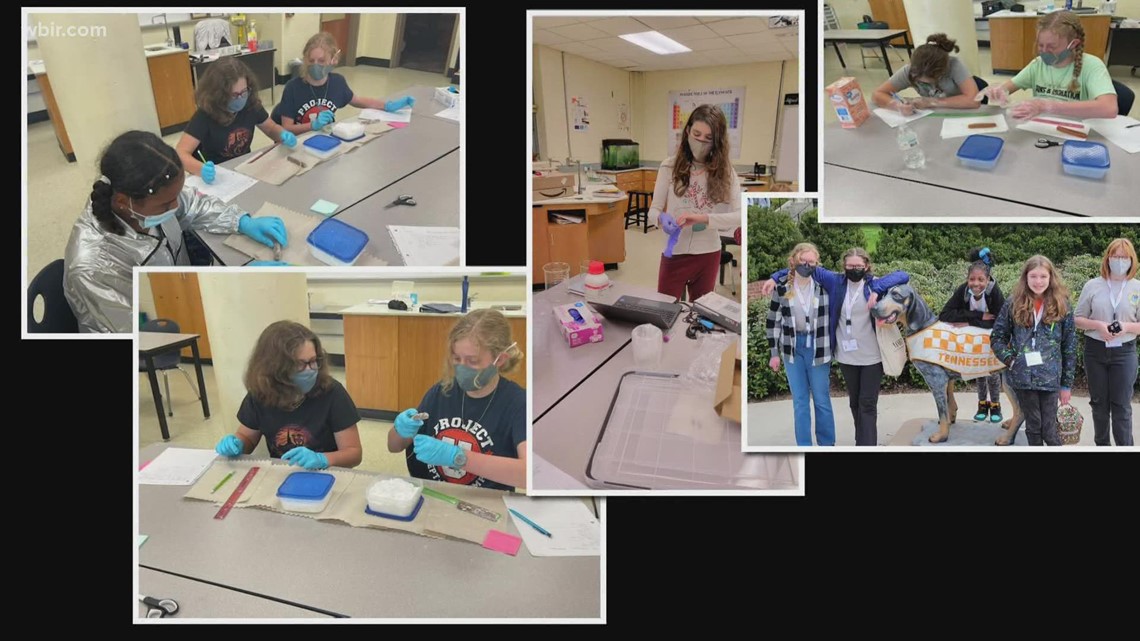 Yo-STEM program encourages underserved students in East TN to pursue STEM careers - Vimarsana News