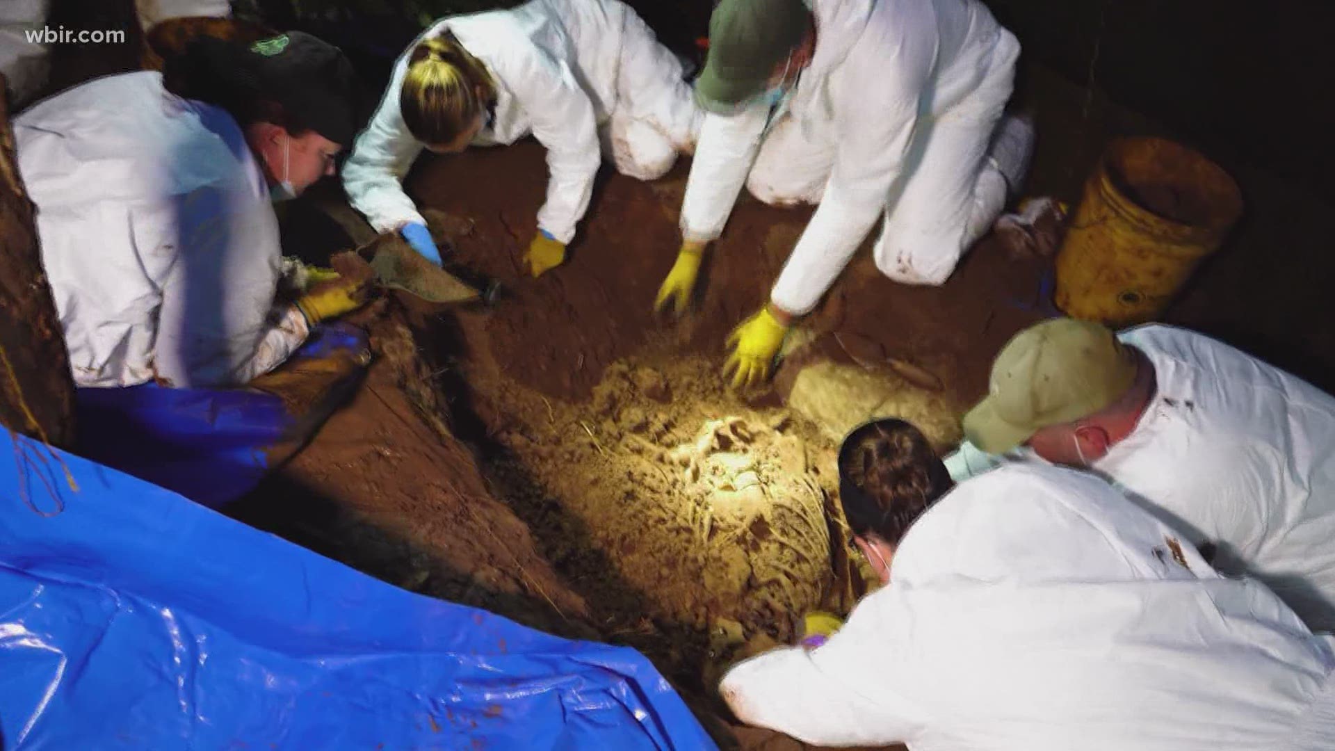 What these forensic anthropology experts do is one-of-a-kind, and they clearly aren't afraid to get their hands dirty to solve tough cases.