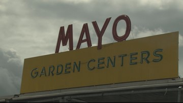 Knoxville S Oldest Business Mayo Garden Center Celebrates 140