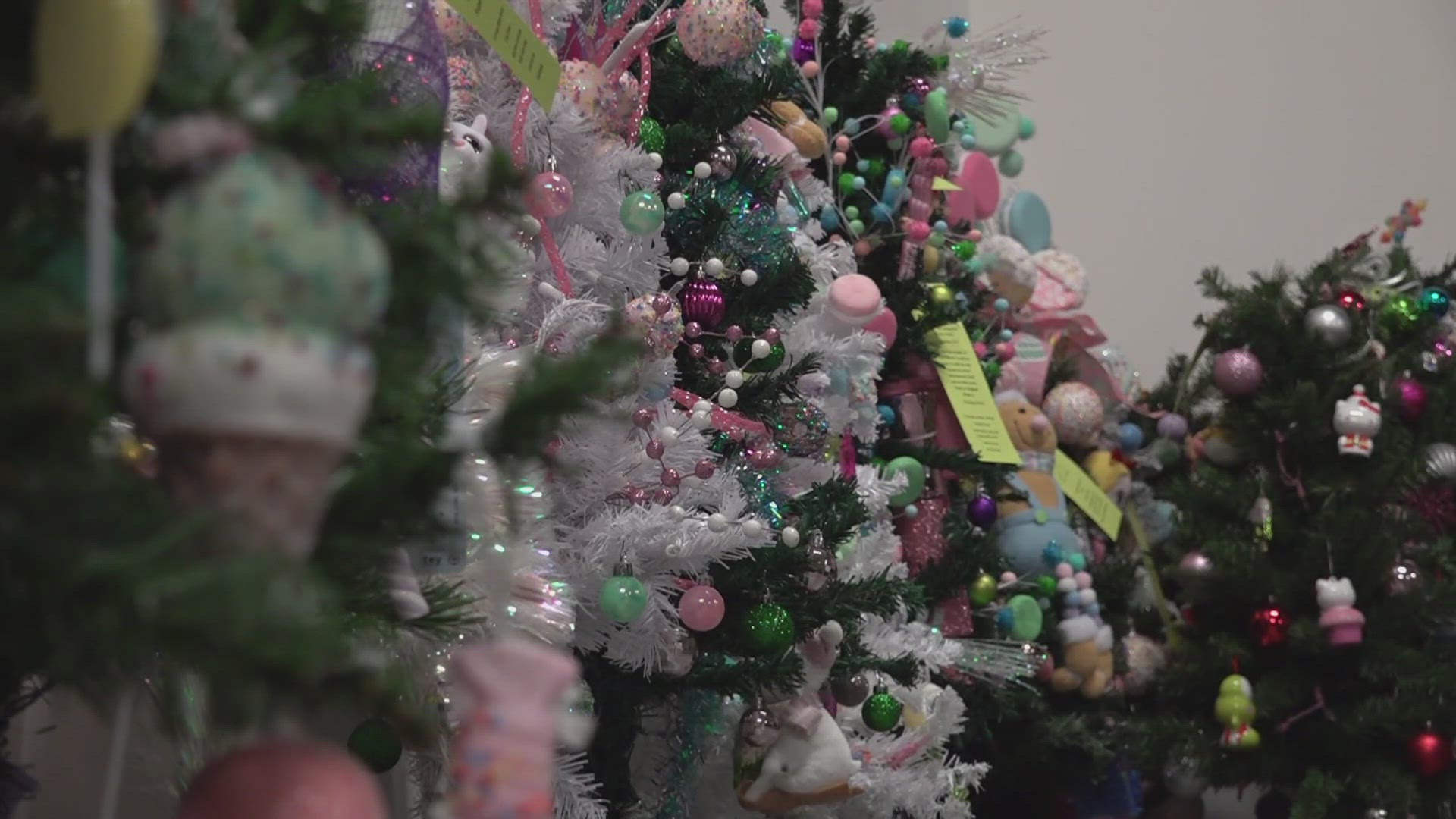 The program fills patients' rooms at the East Tennessee Children's Hospital with 3-foot-tall, decorated Christmas trees.