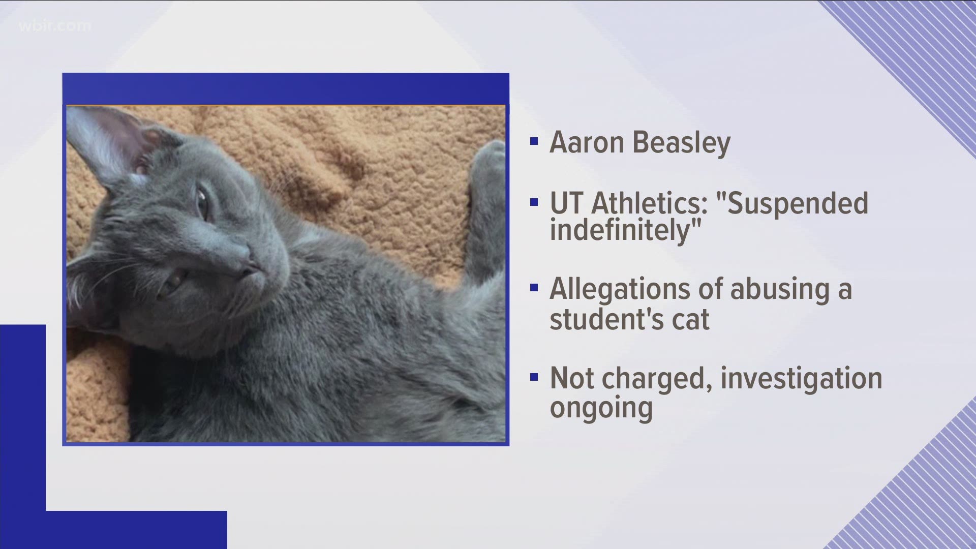 On Friday, Knoxville police confirmed they received a report that Vols linebacker Aaron Beasley abused a cat belonging to another student.