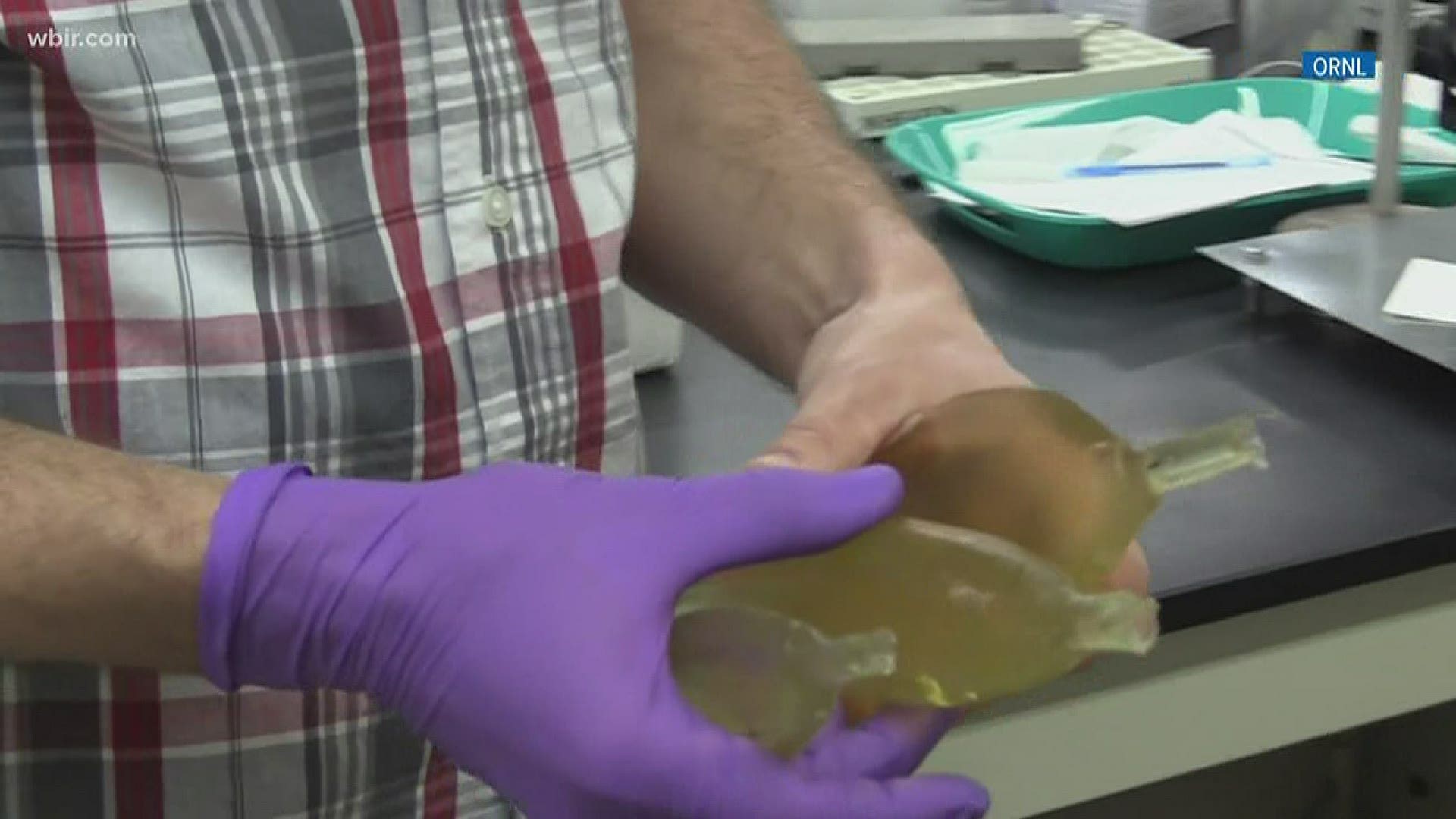 Dams can turn unsuspecting fish into chum. Some UT researchers are looking for ways to save them -- with some fake fish,