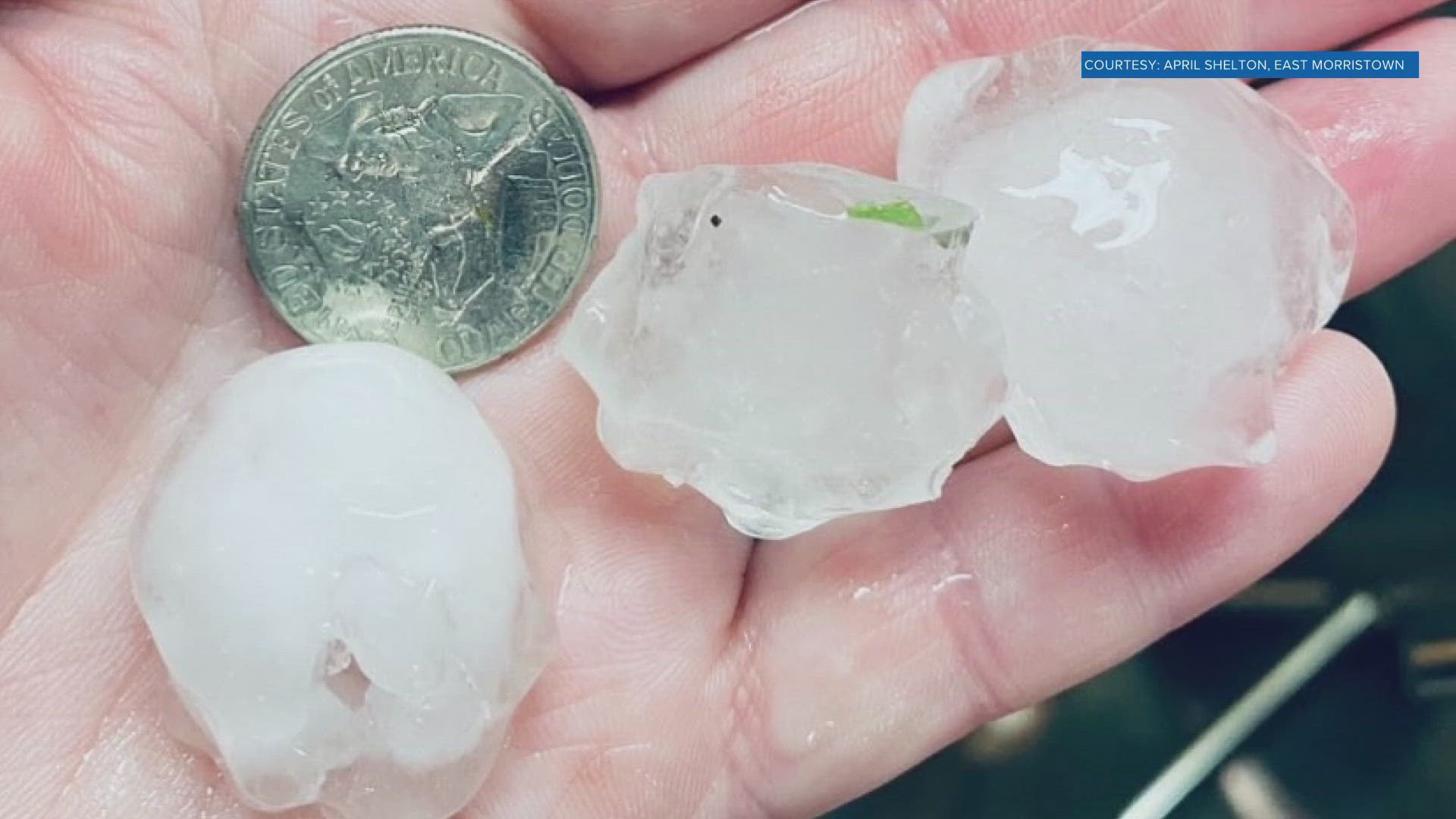 POP 4pm Brittany Hail Size