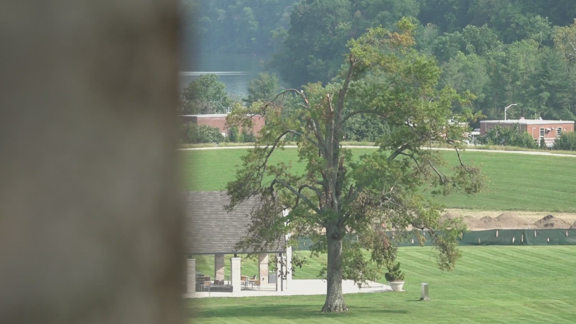 Leaders with the park said more than 40 trees were severely damaged, and up to 50 others will need work.