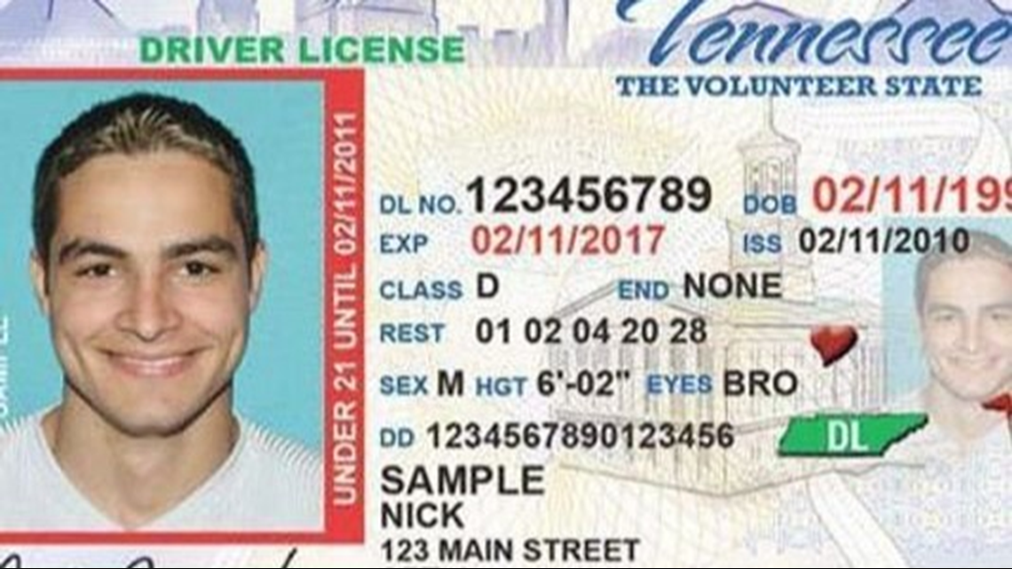 tennessee drivers license renewal