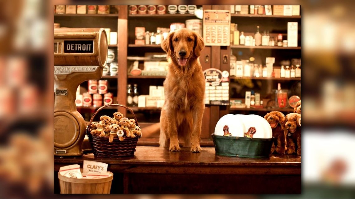 Dog who starred in Bush's baked beans commercials has died