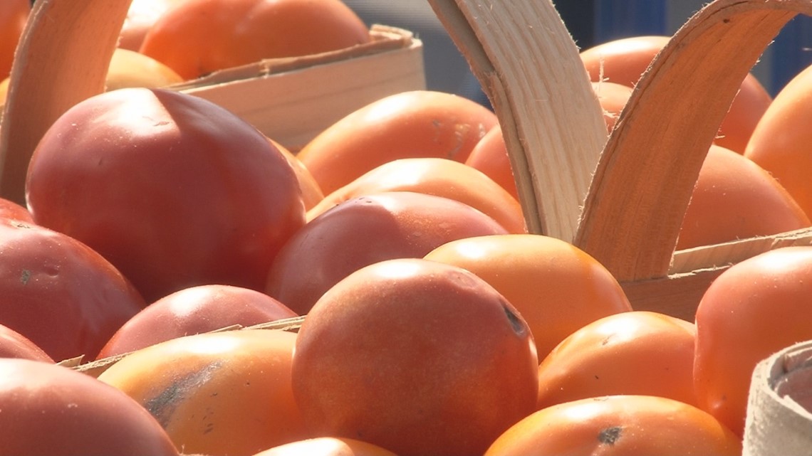 Grainger County Tomato Festival farmers don't mix produce with politics