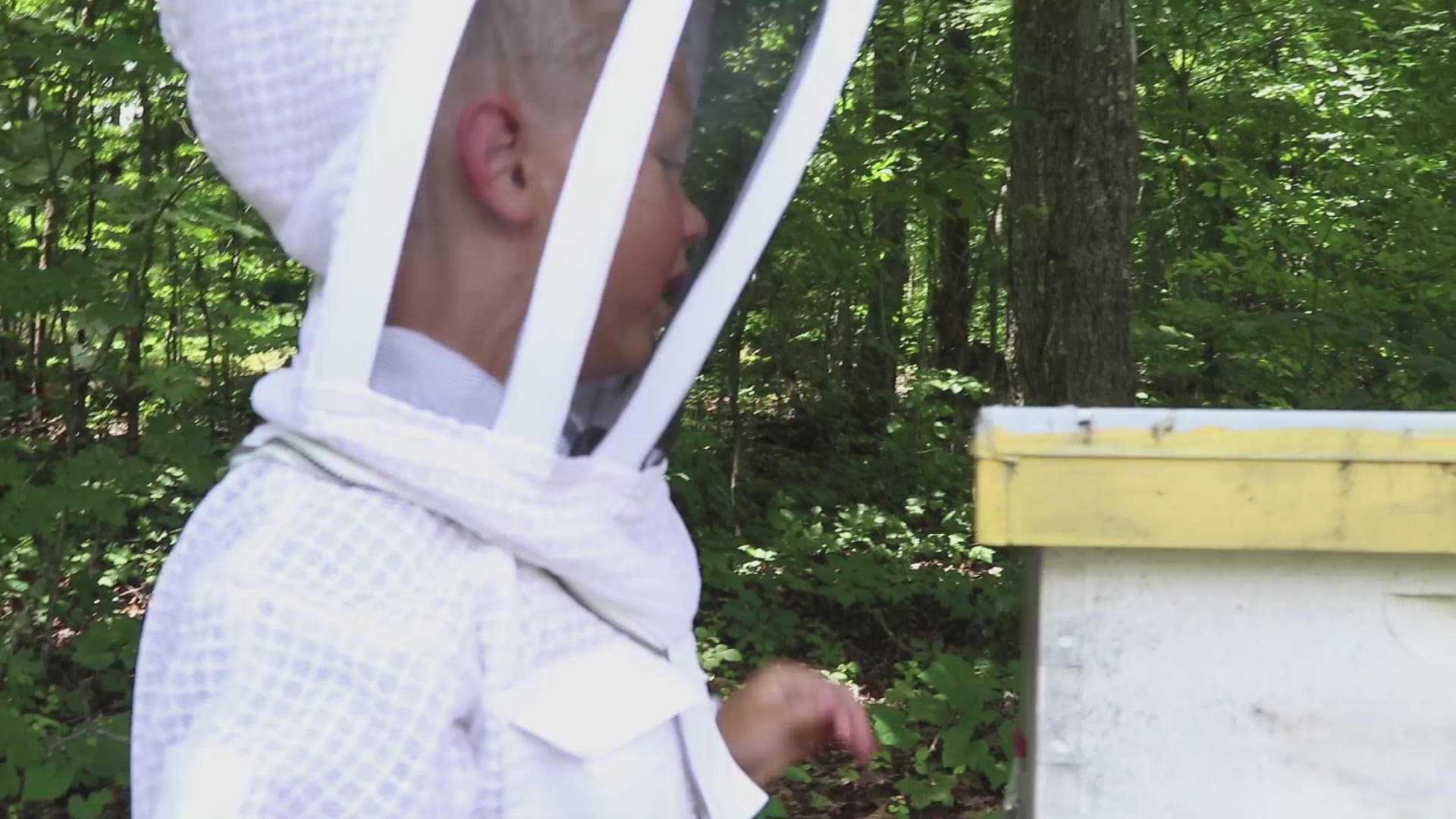 Five-year-old Hank Bergin gives 10News a tour through his family's beekeeping facilities.