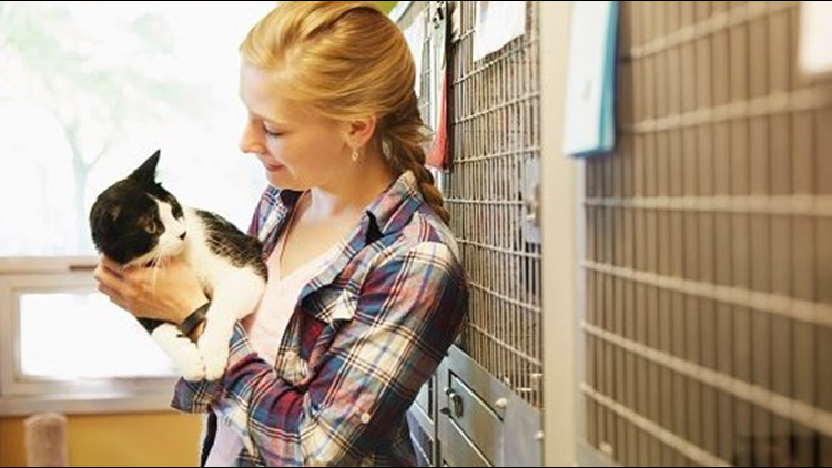 Clear The Shelters: 5 things to know before adopting your new fur-ever friend