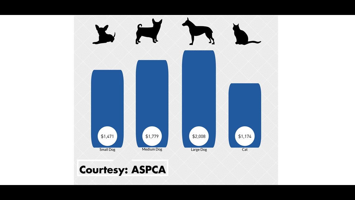 how much does buying a dog cost