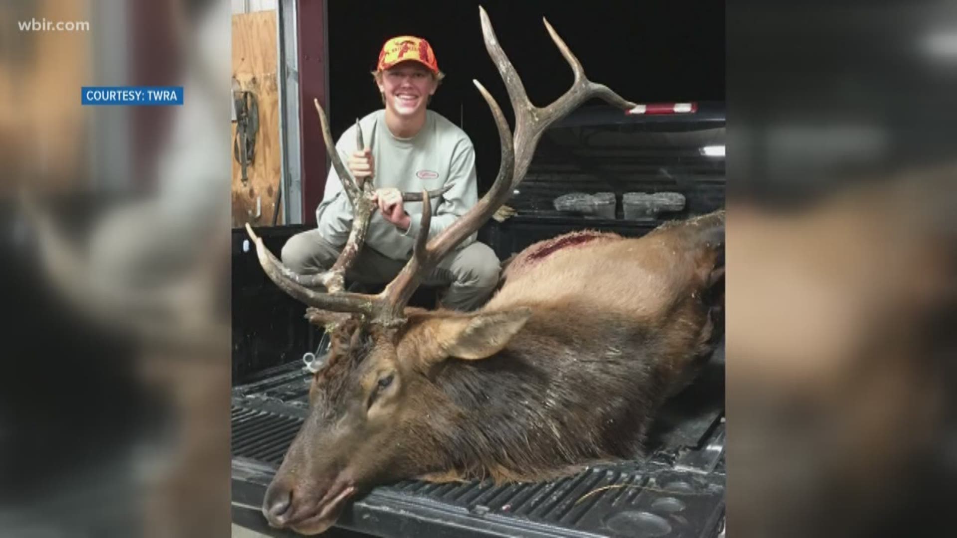 The 2018 elk hunt is in the books and it was the best year for that harvest in recent history.